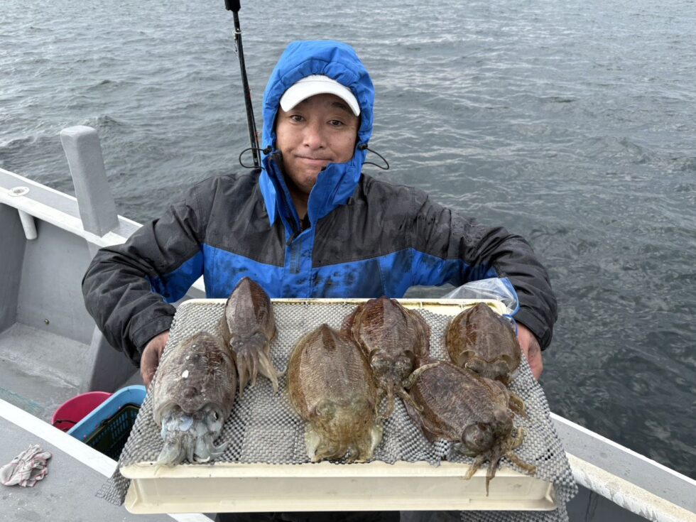 高級コウイカのりのり！