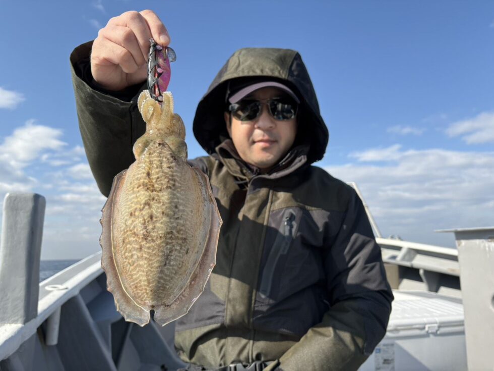 コウイカ大チャンス！