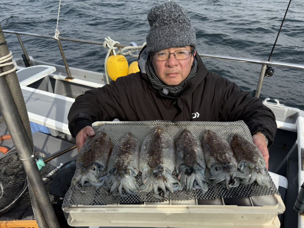 コウイカ好調ー!