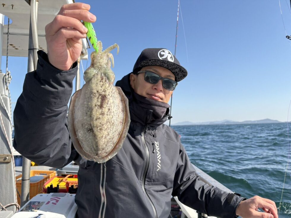 人気のコウイカ出船中！