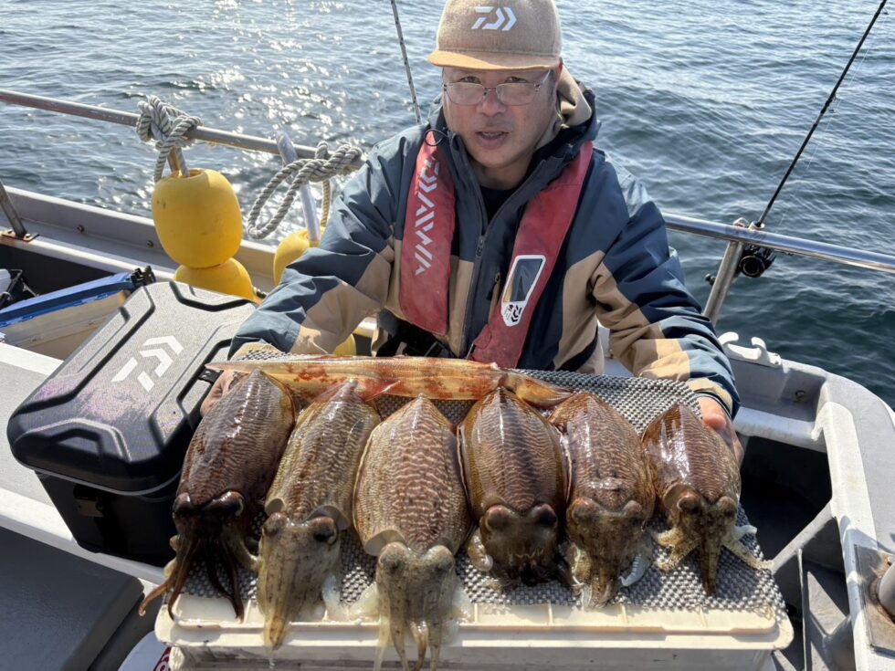 コウイカ大復活！絶好調ー！