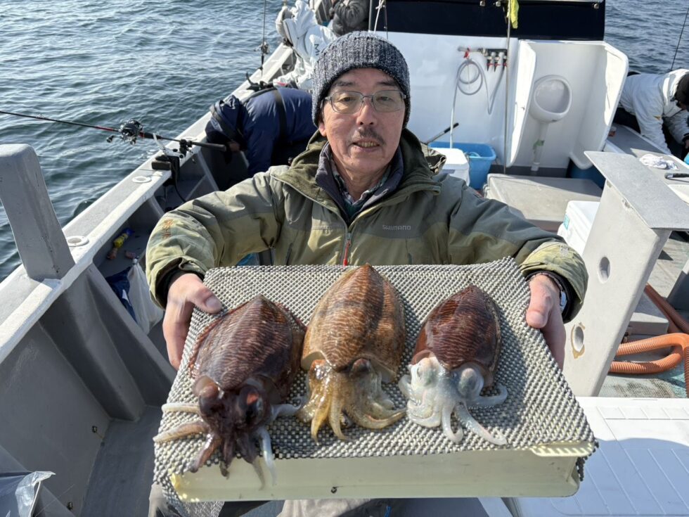 コウイカ復活劇！