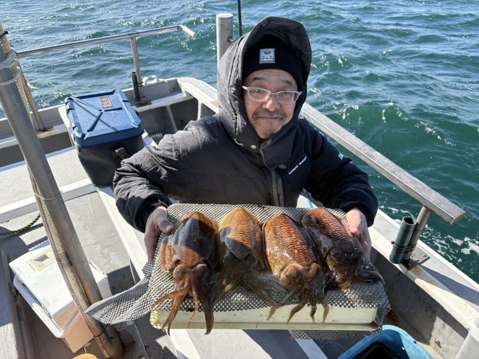 コウイカ好調ー!