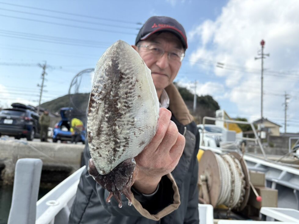コウイカ船、泳がせ船、予約受付中！