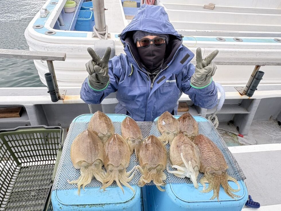 肉厚コウイカ爆発！のりのり！