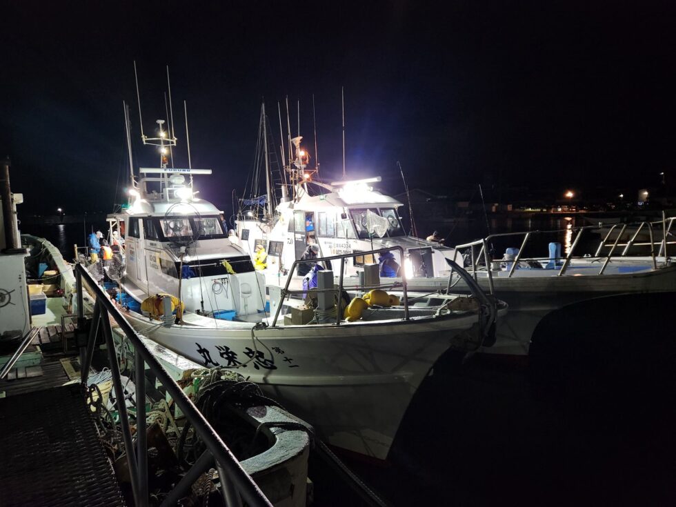 明日(日)泳がせ船、コウイカ船、出船確定です！