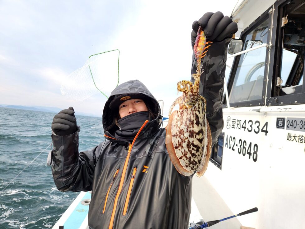 肉厚コウイカ大チャンス!泳がせ船も募集中!