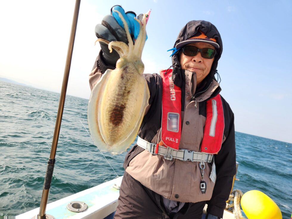 伊勢湾コウイカチャンス!