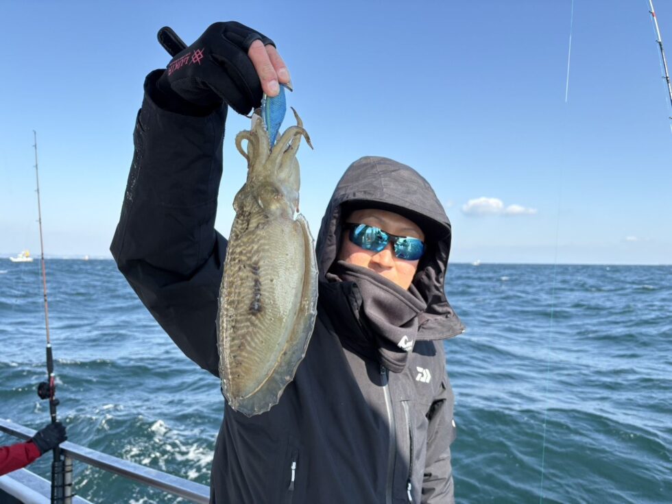 泳がせ船、コウイカ船、好調ー！