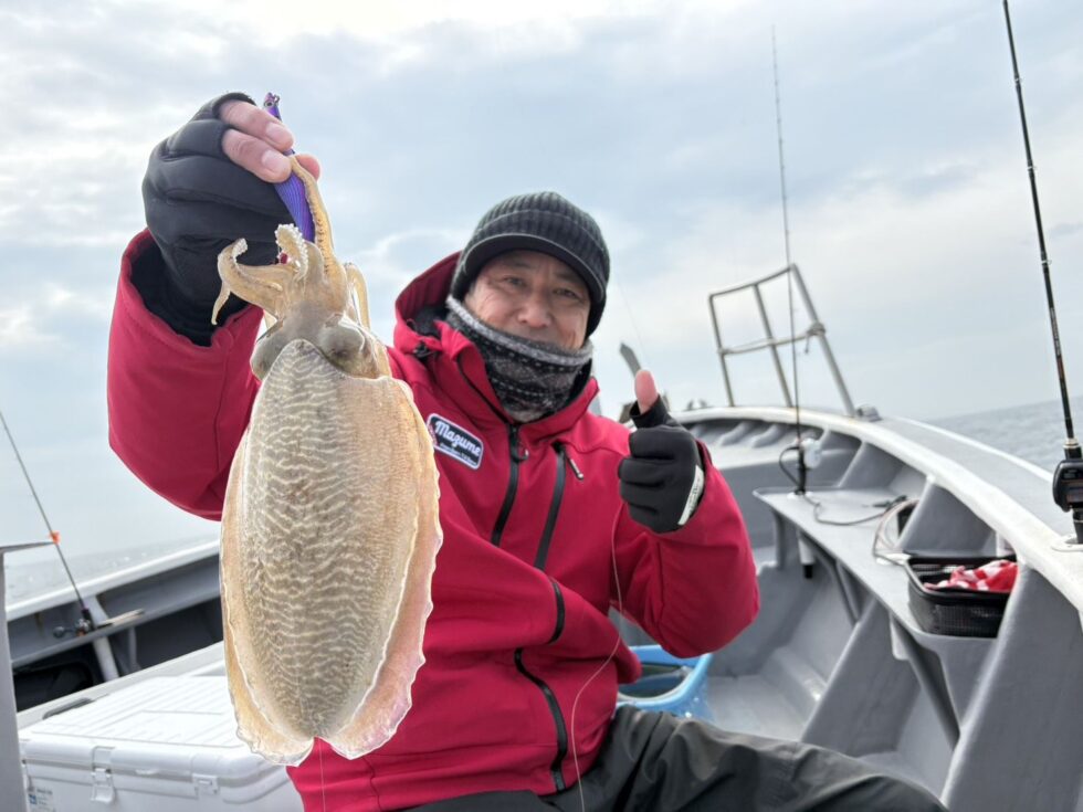 明日(土)コウイカ空き多数、朝の飛び入りOKですよ。