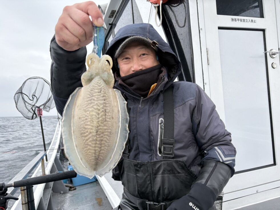 肉厚コウイカ大チャンス！