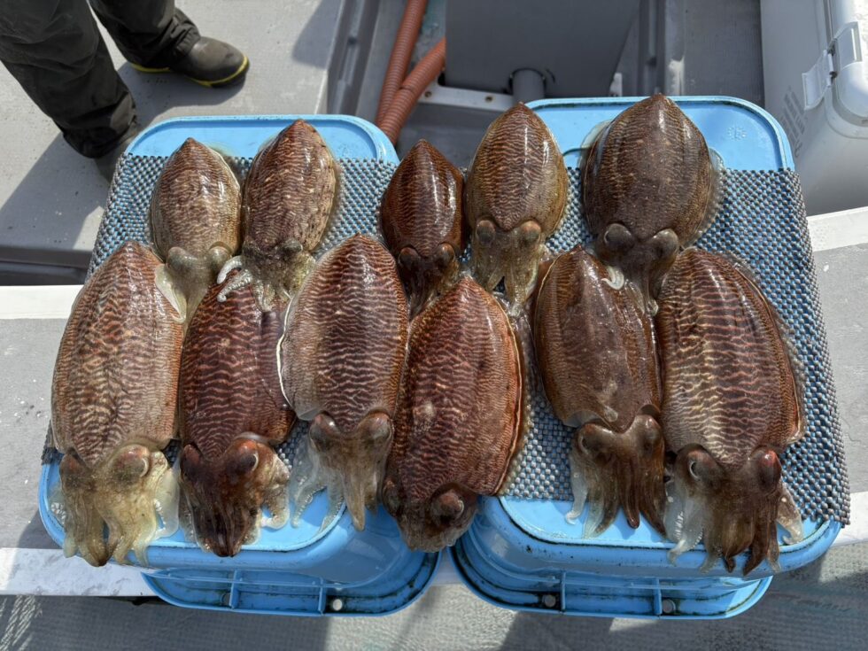 脅威の船中89杯を記録！