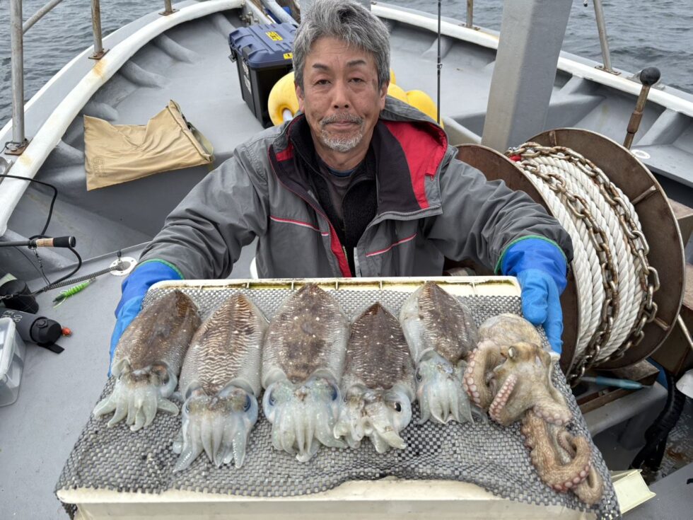 絶品コウイカリピーター様続々です！
