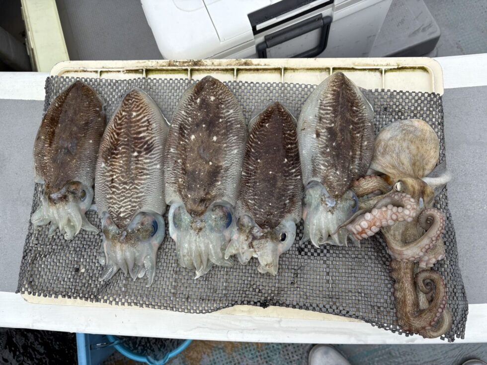 善は急げです！