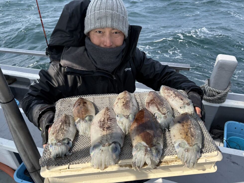 伊勢湾コウイカ釣り絶好調ー!