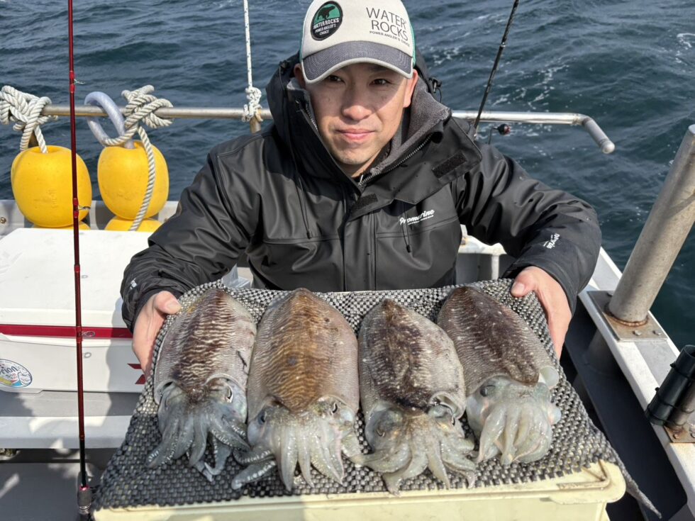 大チャンス到来中!