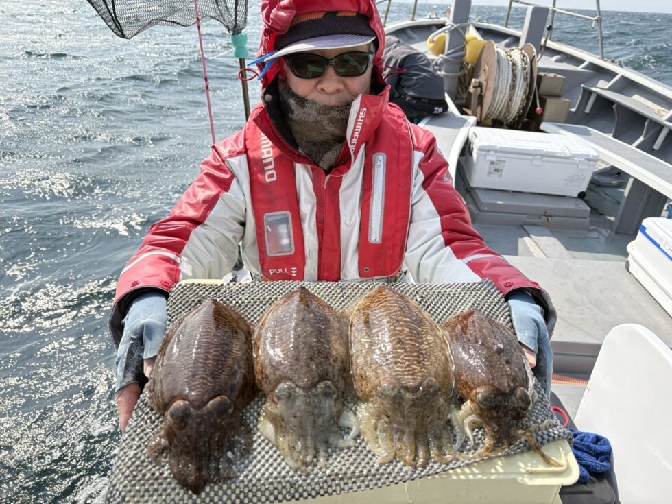 NEWポイントコウイカ炸裂中!