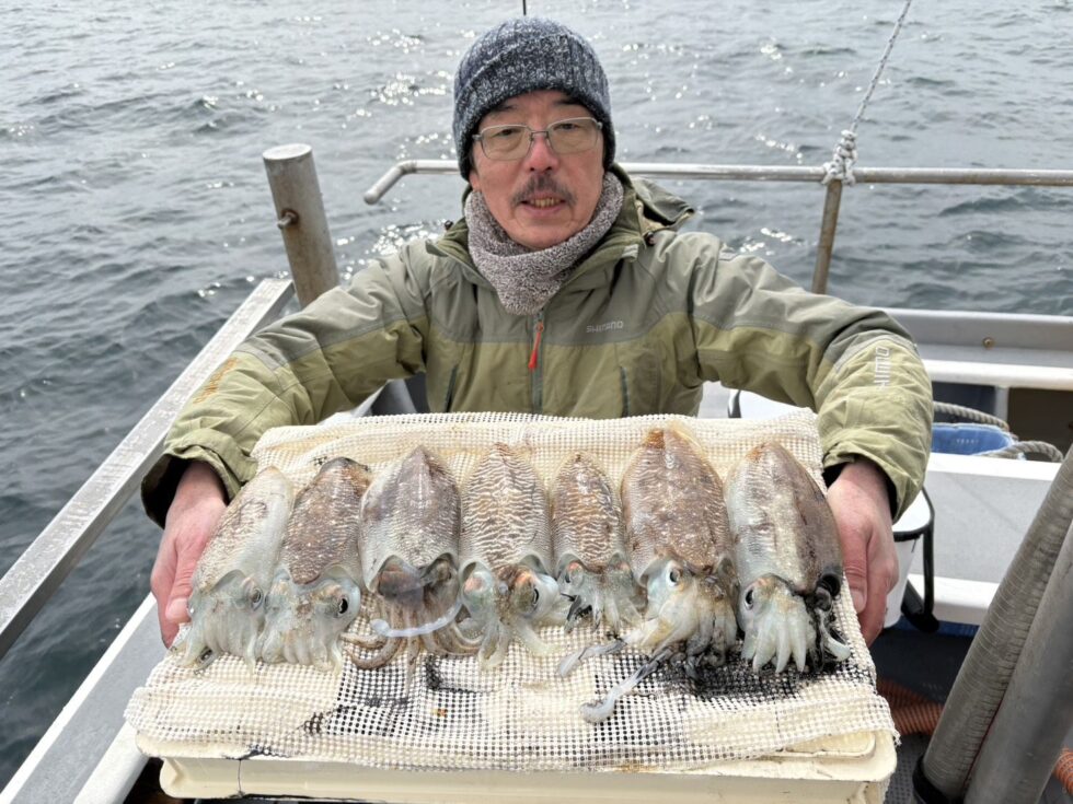 肉厚コウイカ釣りまくりー！