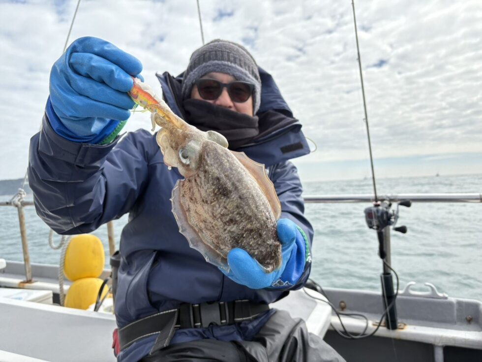 サイズUp!価値あるコウイカ!