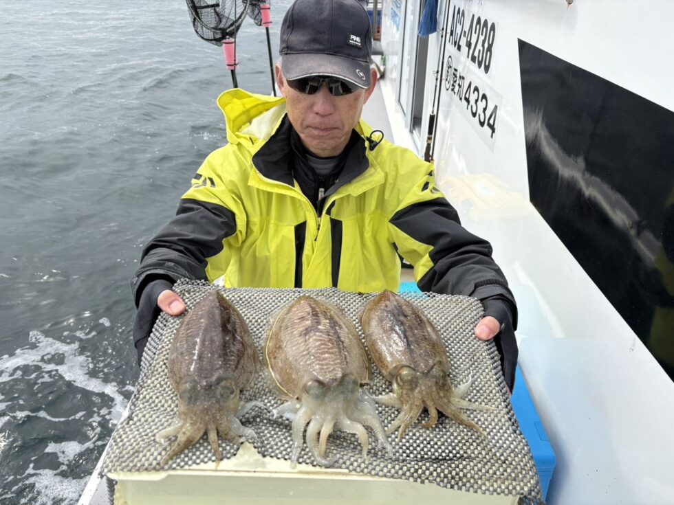 肉厚絶品コウイカ！