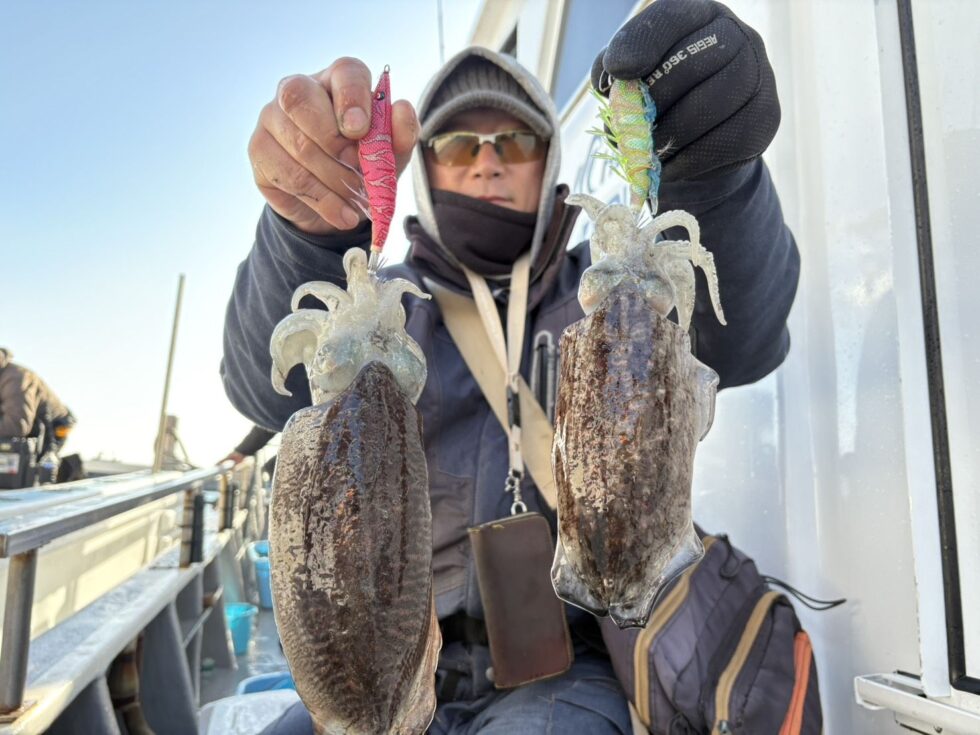 朝の30分で２杯ゲット！入れ乗り！明日からがかなり楽しみです！朝の飛び入りOKですよ。ウタセ五目も出船確定