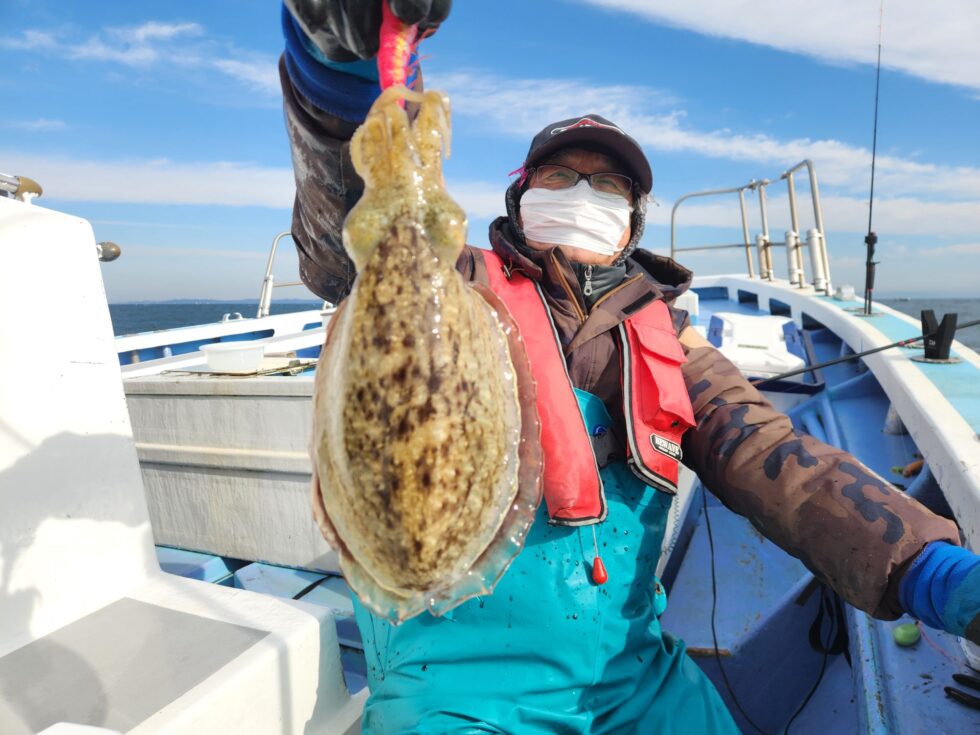 コウイカ船、泳がせ船、予約受付中！