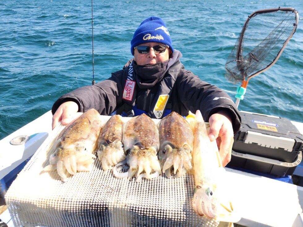 絶品肉厚コウイカボリューム満点！