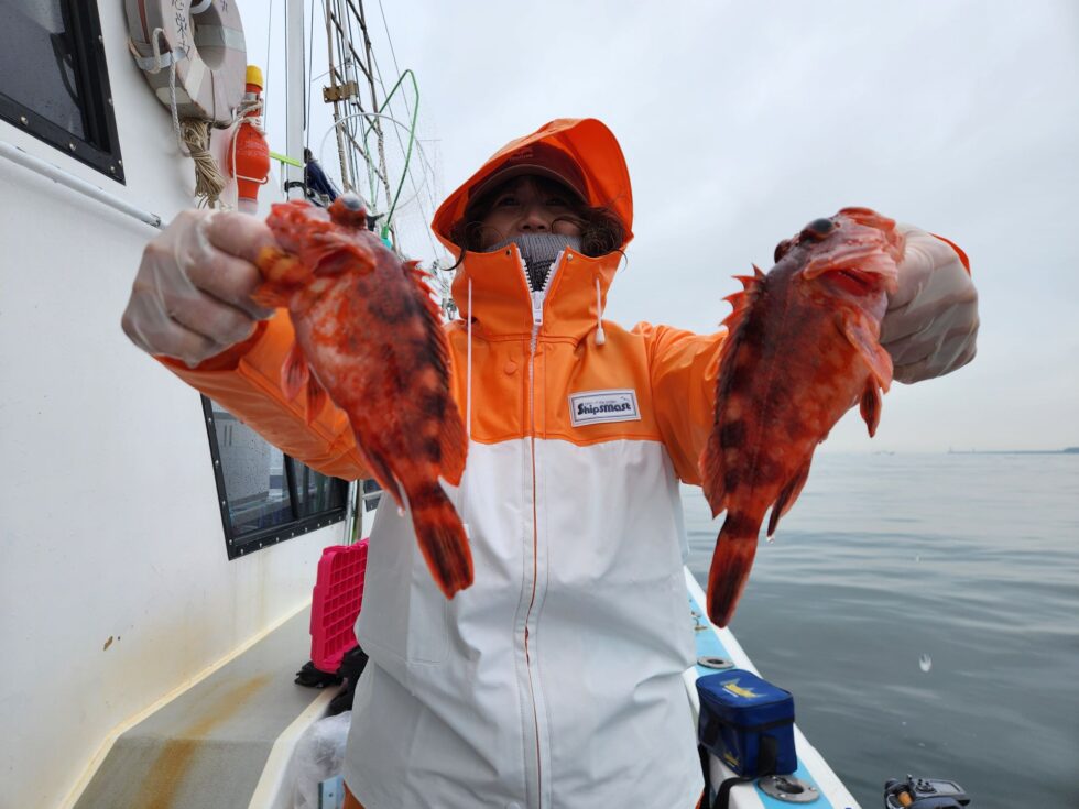 イシグロ岡崎大樹寺女性スタッフさん良型カサゴ!