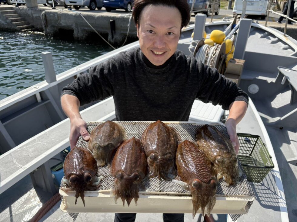 肉厚コウイカのりのり！