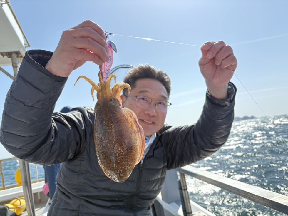 人気のコウイカ！