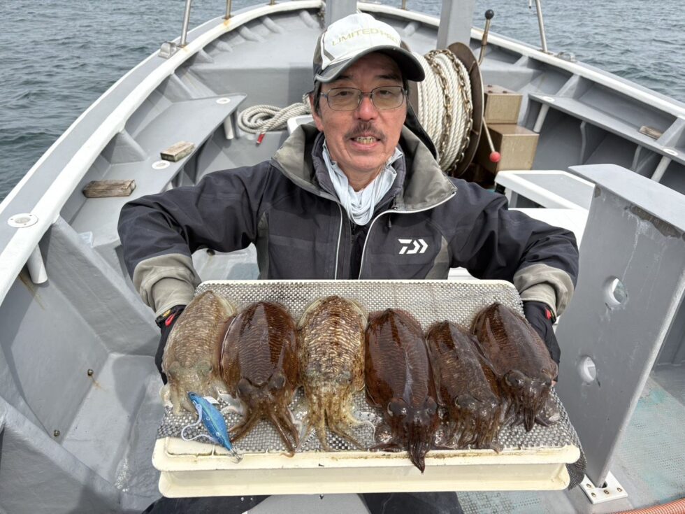 肉厚コウイカ絶好調ー!