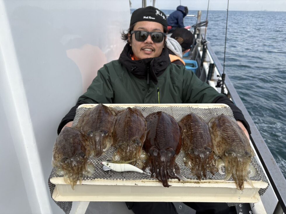 肉厚コウイカぼこぼこタイムあり!