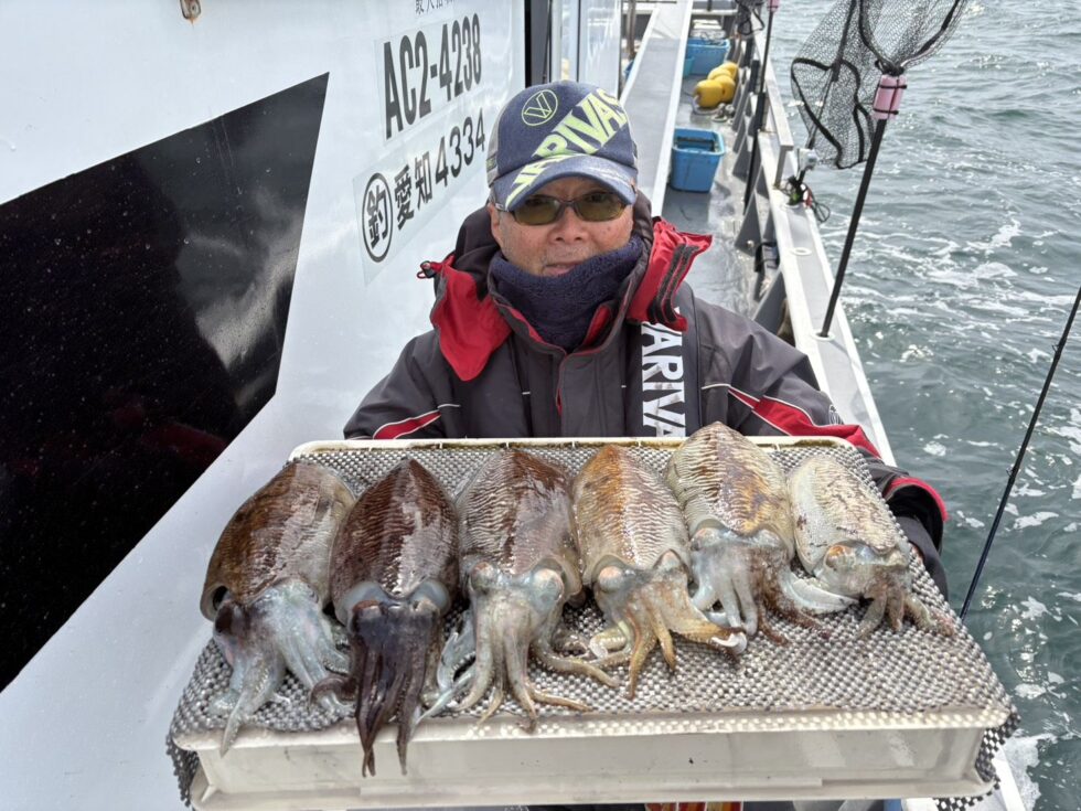 肉厚コウイカ絶好調ー！