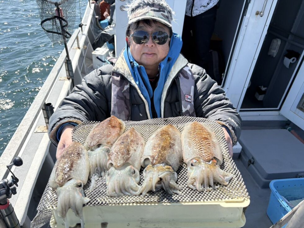 肉厚コウイカ絶好調ー!