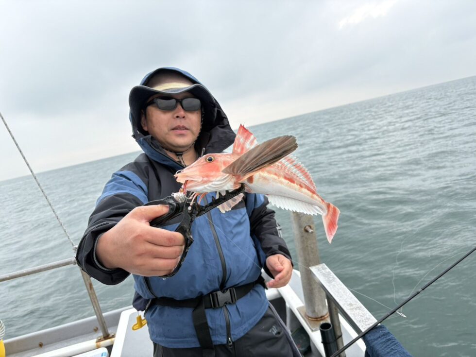 連投ありがとうございます!