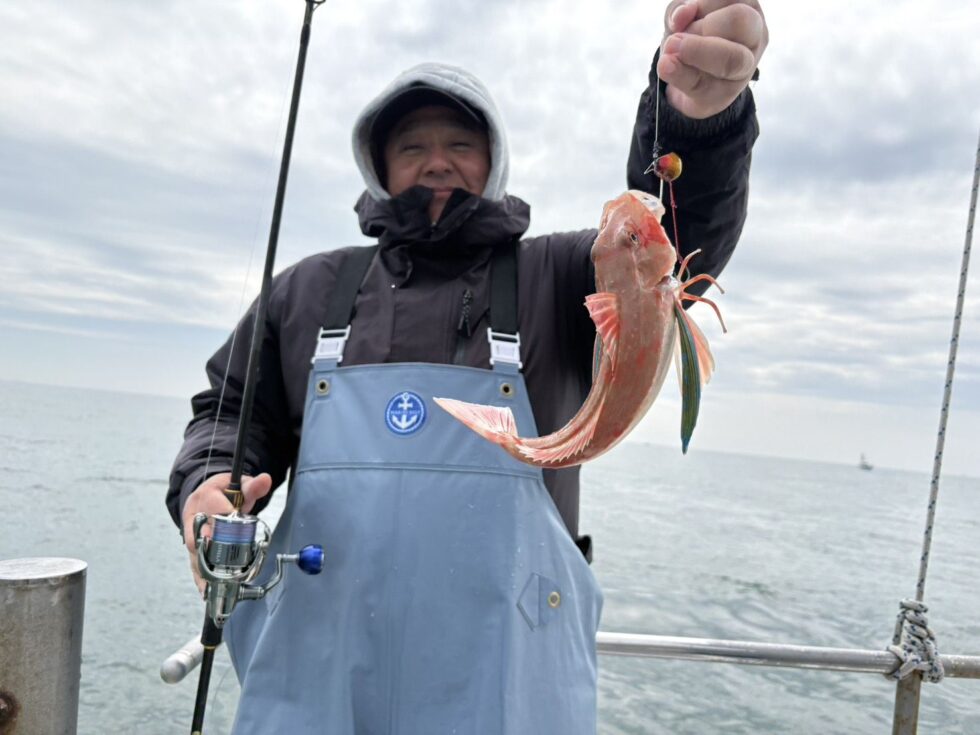 連投ありがとうございます!