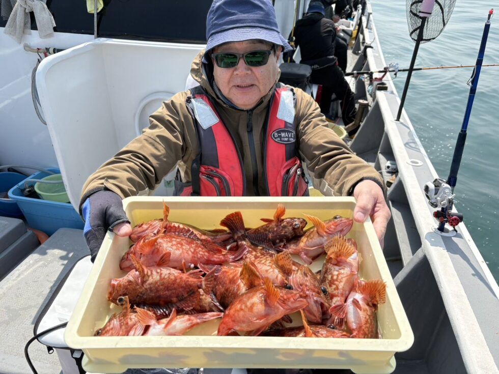 良型カサゴ入れ食い！