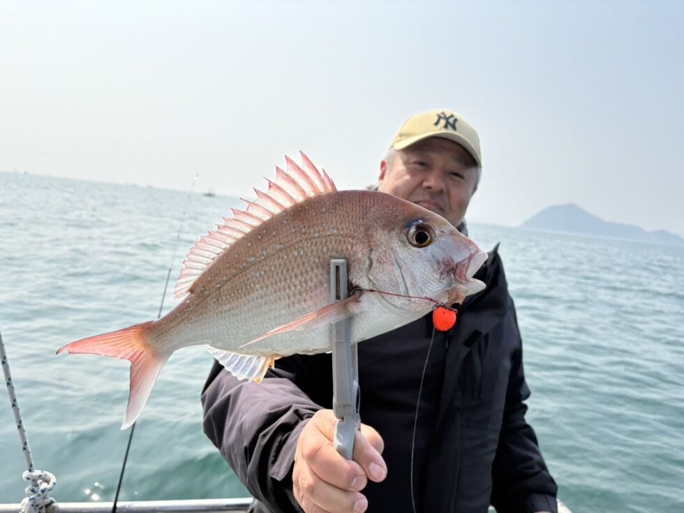 伊勢湾一つテンヤ真鯛釣り人気沸騰中!