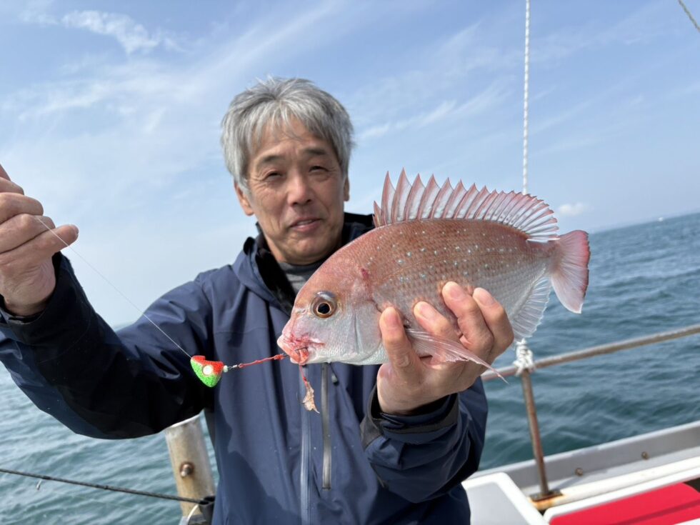 リピーター様続々です！乗っ込み真鯛白子、卵入りで絶品ですよ！