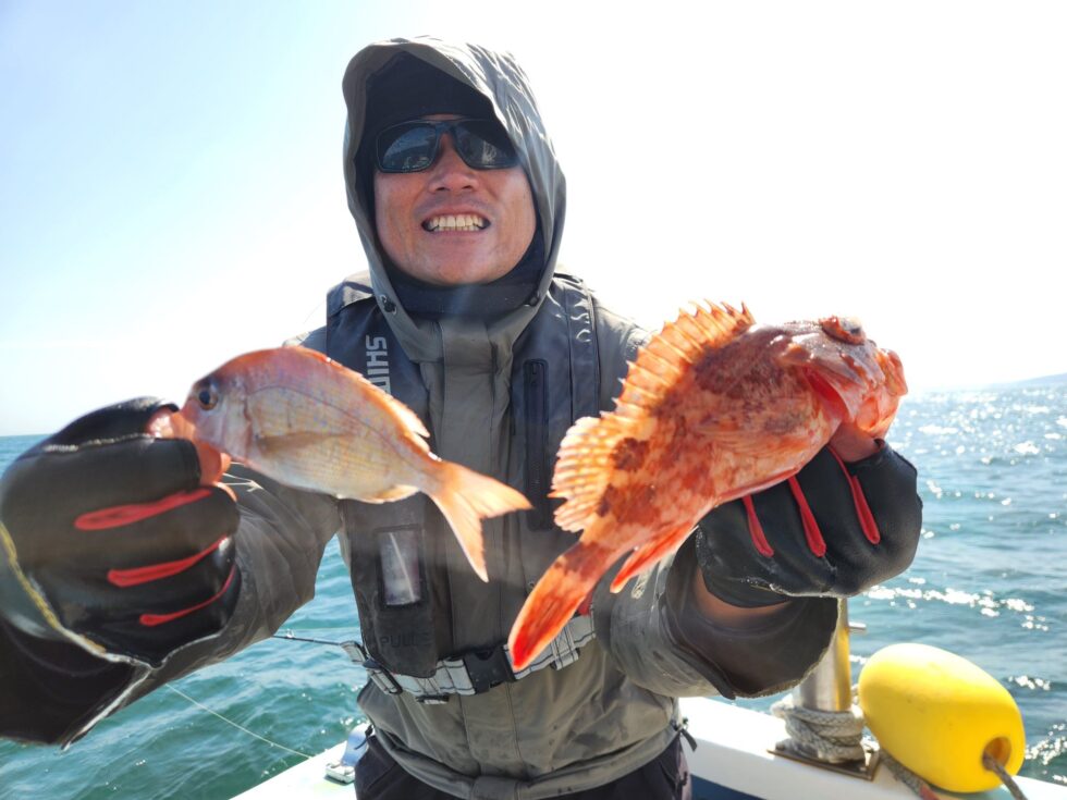 明日(月)泳がせ釣り、コウイカ釣り、出船確定です！どちらも朝の飛び入りOKですよ。