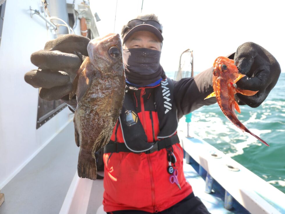 ウタセ五目出船！メバル、カサゴ！