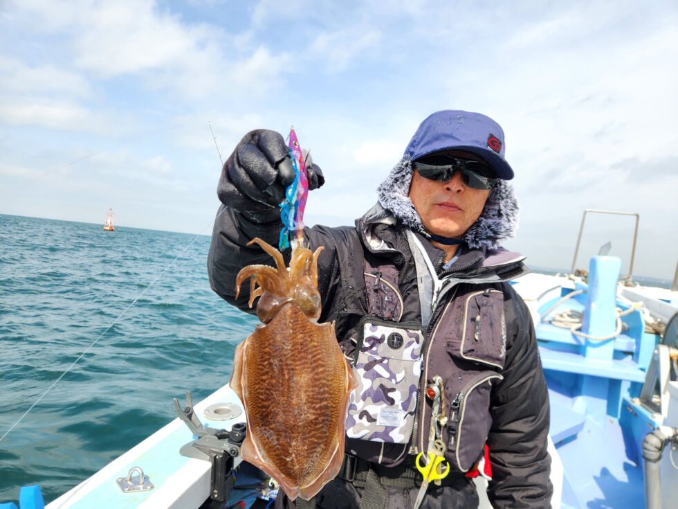 価値あるコウイカ!