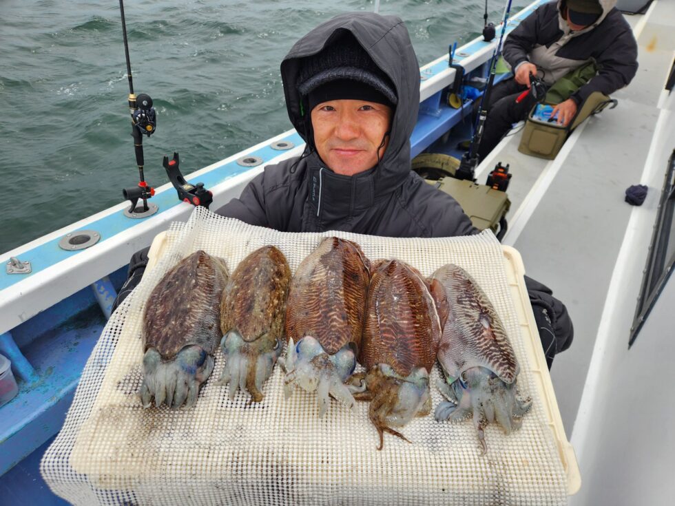 肉厚コウイカ絶好調ー!