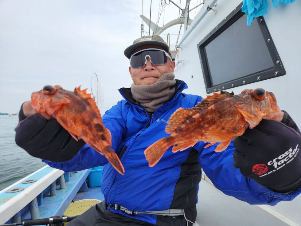 ウタセ五目船カサゴ中心でした！コウイカ船は激渋残念、金曜日は色々ポイント回ってみます