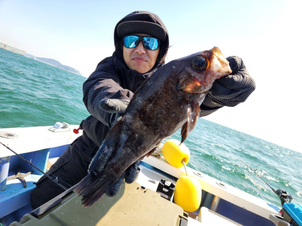 31㎝尺メバル！