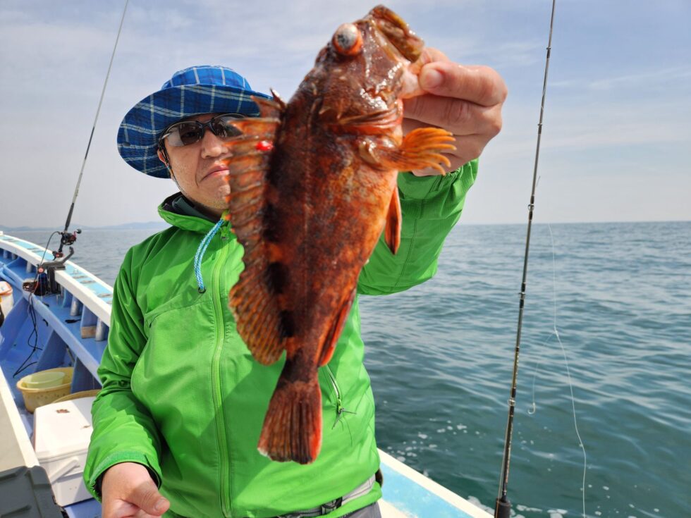 ウタセ五目、尺カサゴ連発！