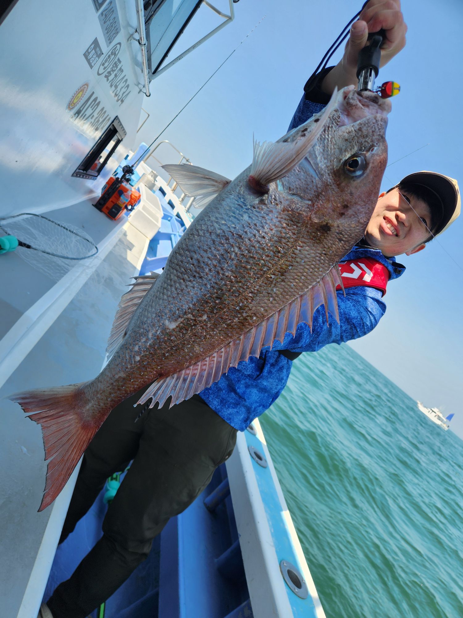 乗っ込み真鯛71㎝ゲットー!おめでとうございました!