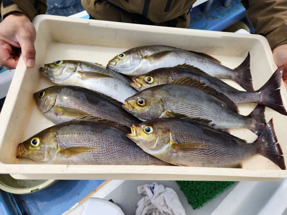 明日(土)空き多数、朝の飛び入りOKですよ。