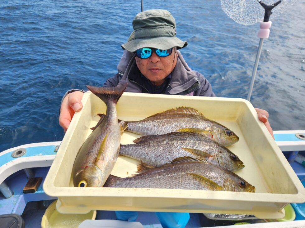 明日(土)イサキ船、ウタセ五目船、出船確定です!宜しくお願いします