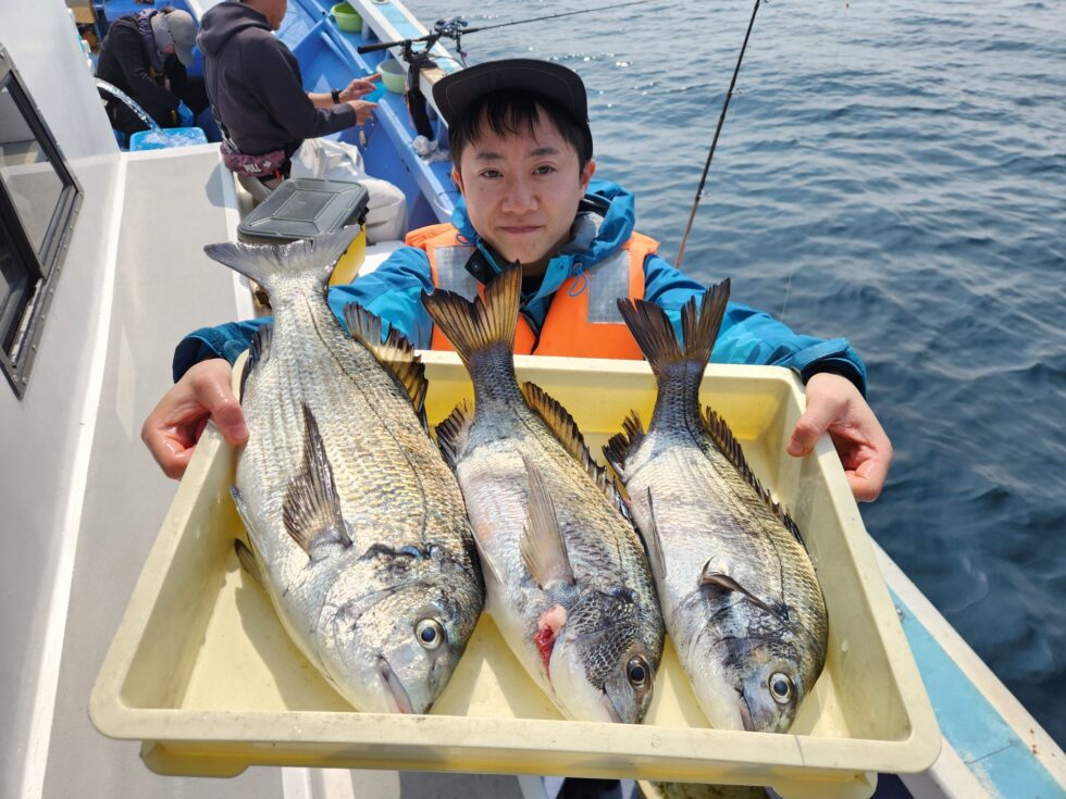 大型黒鯛釣りまくりー!